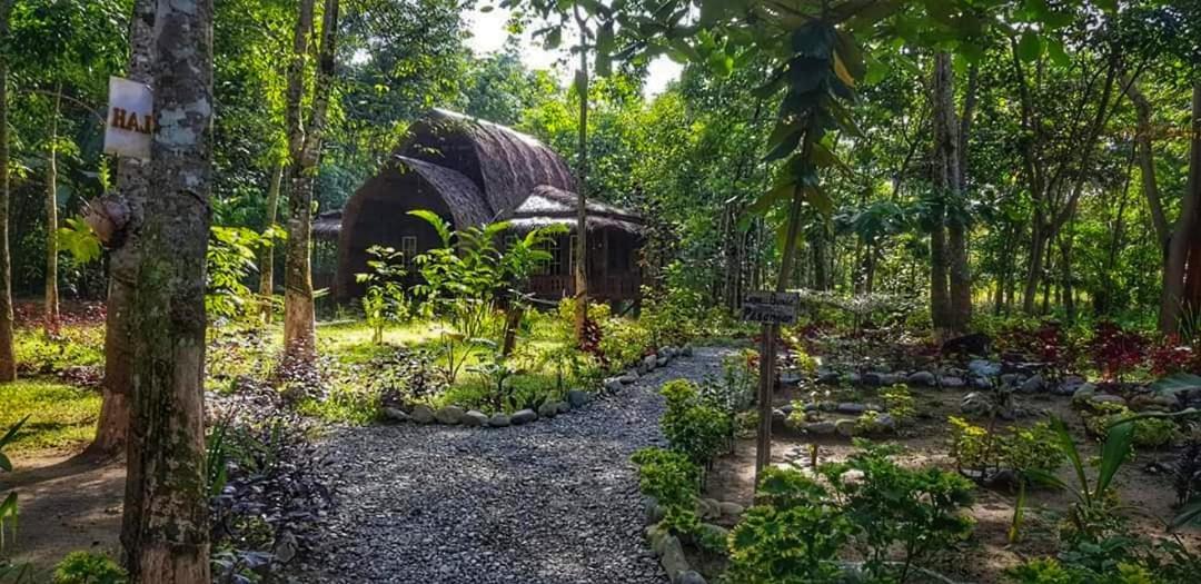 Etalauser Jungle Gate Ecoresort Bukit Lawang Exteriör bild