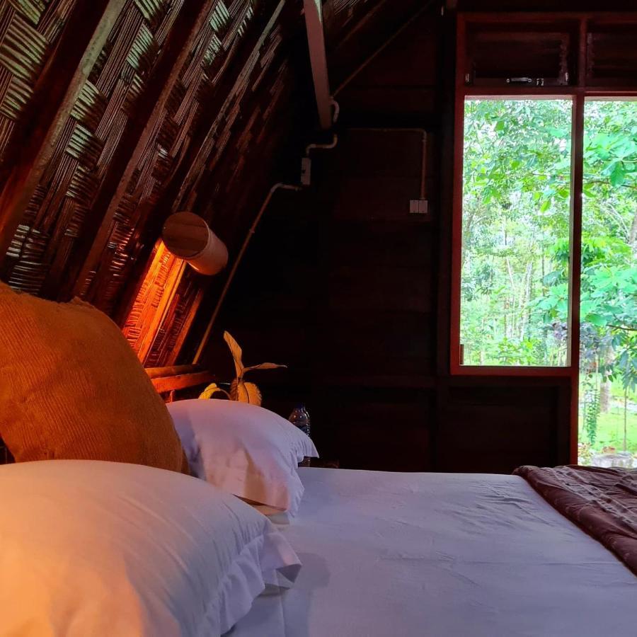 Etalauser Jungle Gate Ecoresort Bukit Lawang Exteriör bild