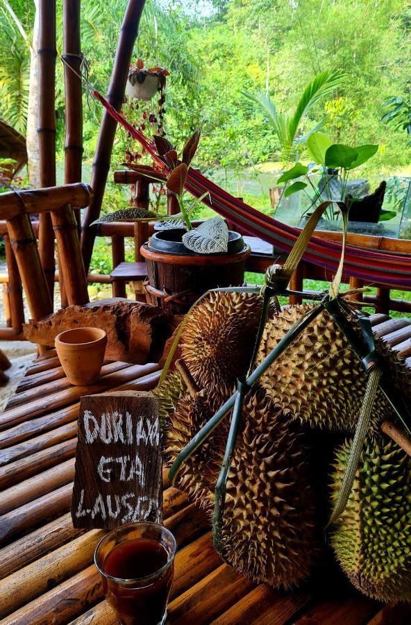 Etalauser Jungle Gate Ecoresort Bukit Lawang Exteriör bild