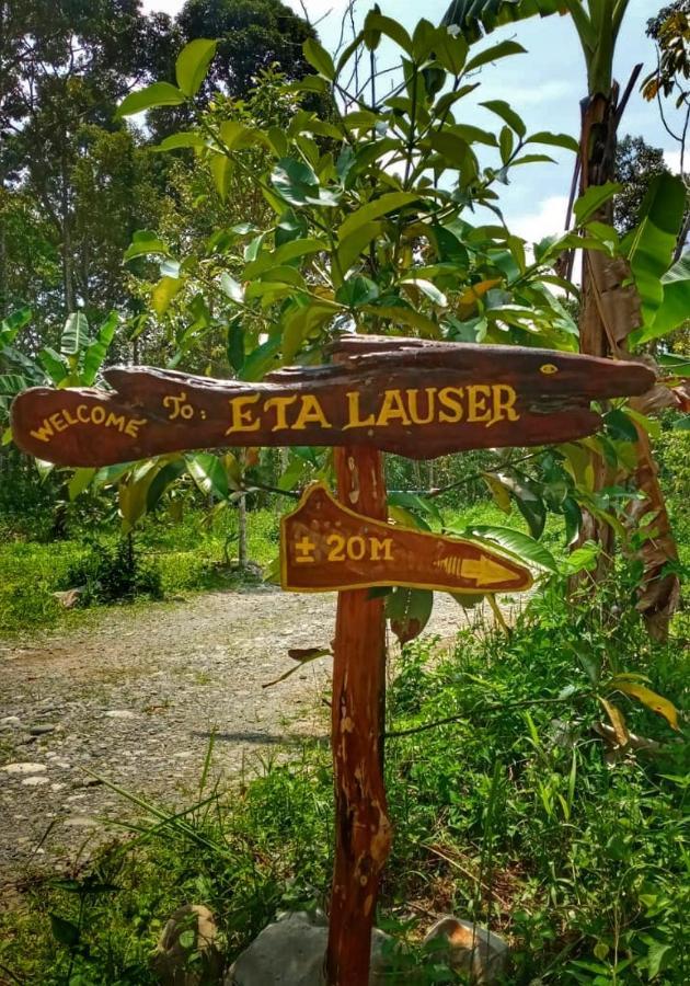 Etalauser Jungle Gate Ecoresort Bukit Lawang Exteriör bild