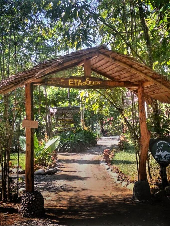 Etalauser Jungle Gate Ecoresort Bukit Lawang Exteriör bild