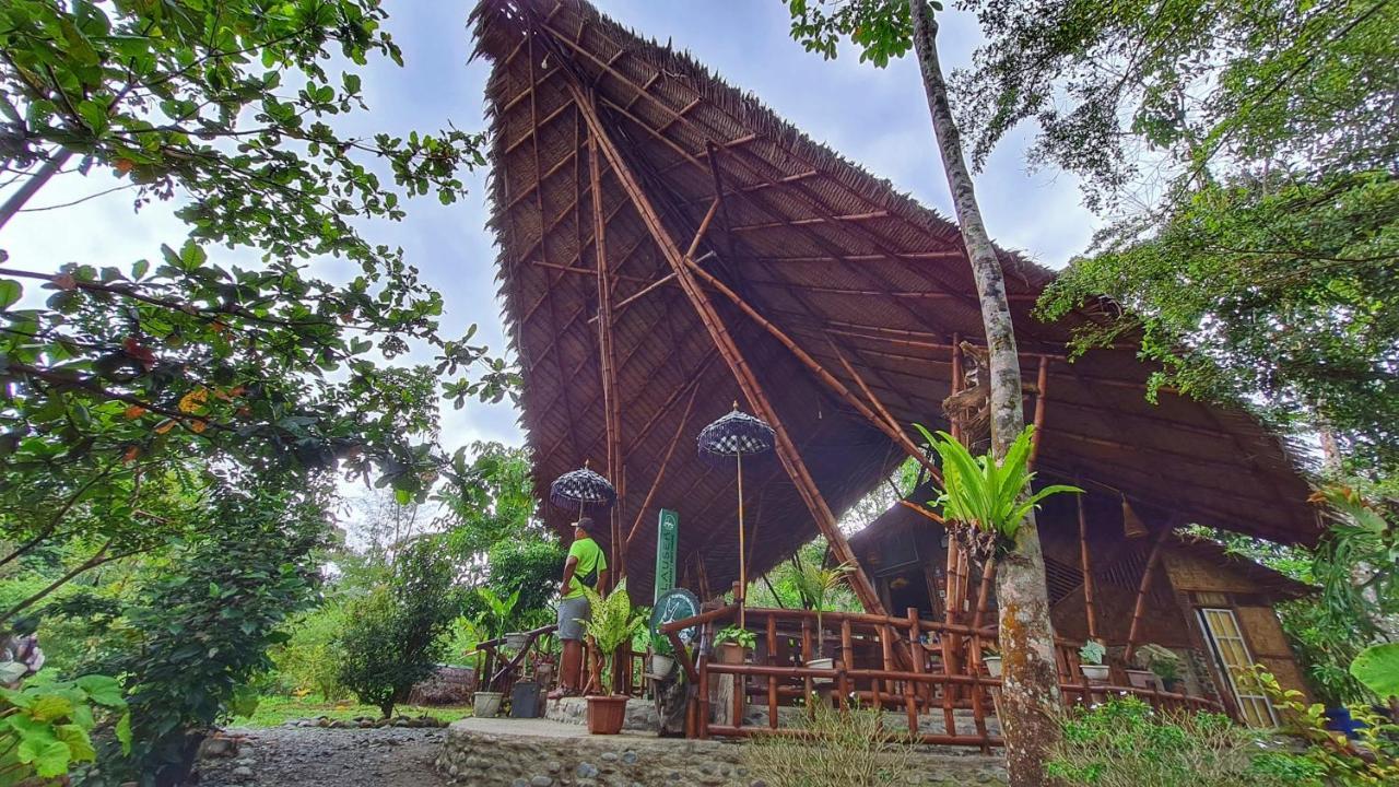 Etalauser Jungle Gate Ecoresort Bukit Lawang Exteriör bild