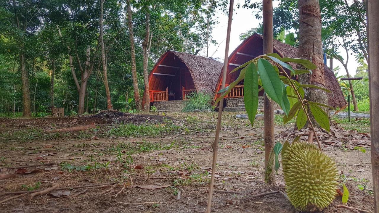 Etalauser Jungle Gate Ecoresort Bukit Lawang Exteriör bild